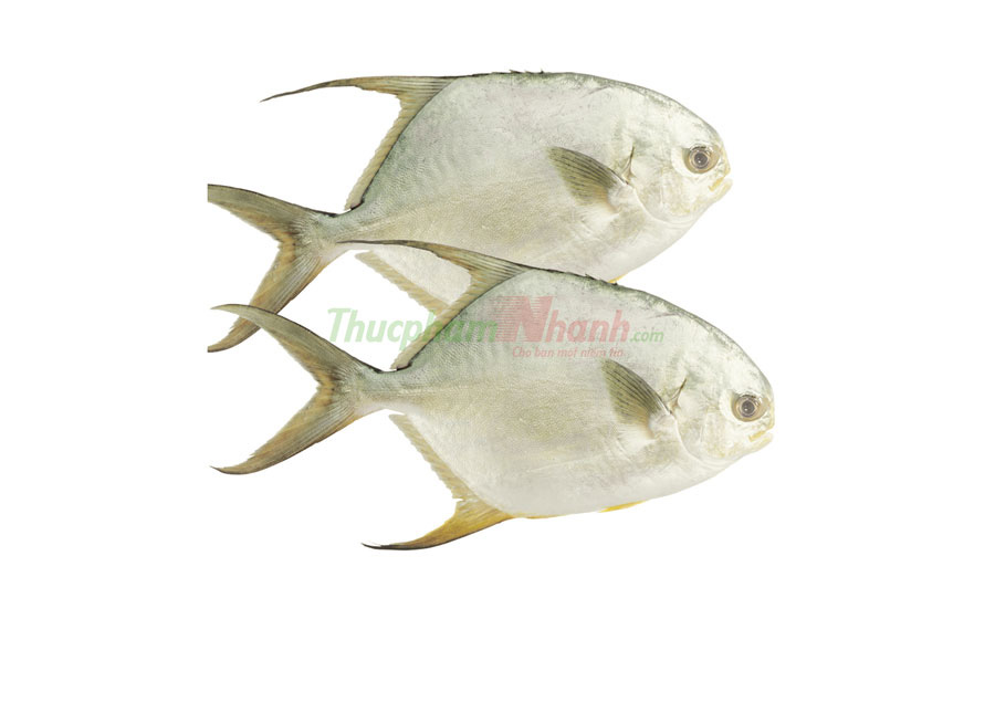 Cá chim nước ngọt nguyên con làm sạch